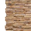 Paneles De Revestimiento De Pared 3d 10 Uds Madera Teca 1,01 M² Vidaxl