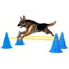Juego De Obstáculos Para Perros Azul Y Amarillo Vidaxl