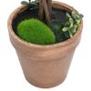 Plantas De Boj Artificial 2 Uds Forma Bola Maceta Verde 56 Cm Vidaxl