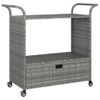 Carrito De Bar Con Cajón Ratán Sintético Gris 100x45x97 Cm Vidaxl