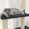 Rascador Para Gatos Con Postes De Sisal Gris Oscuro 155 Cm Vidaxl