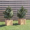 Jardineras 2 Uds Madera Maciza De Pino 31x31x31 Cm Vidaxl