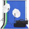 Kit De Estudio Fotográfico Con Set De Luces Y Fondo Vidaxl