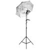 Kit De Estudio Fotográfico Con Set De Luces, Fondo Y Reflector Vidaxl