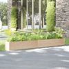 Jardinera De Madera Maciza De Pino 200x31x31 Cm Vidaxl