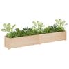 Jardineras 2 Uds Madera Maciza De Pino 200x31x31 Cm Vidaxl