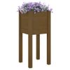 Jardineras 2 Uds Madera Maciza De Pino Marrón Miel 31x31x70 Cm Vidaxl