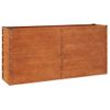 Arriate Oxidado De Acero Corten 160x40x77 Cm Vidaxl