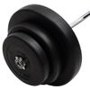 Mancuerna Curl Con Discos 60 Kg Vidaxl