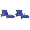 Toallas De Playa 2 Uds Tela Azul Klein 400 G/m² 75x200 Cm Vidaxl