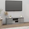 Mueble De Tv Con Puerta Gris Sonoma 102x30x36 Cm Vidaxl