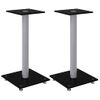 Soportes De Altavoces 2 Uds Vidrio Templado Plata Negro 1 Pilar Vidaxl