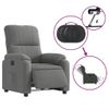 Sillón Eléctrico Reclinable Elevable Tela Microfibra Gris Vidaxl