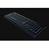 Razer Cynosa Lite Teclado Usb Qwerty Italiano Negro