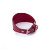 Collar Vegano Para Galgos Galgo Rojo Pamppy 25 Cm