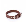 Collar Vegano Para Perros Cher Cuero Pamppy 40 Cm