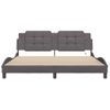 Cama Matrimonial | Cama Para Adultos | Estructura De Cama Con Luz Led Cuero Sintético Gris 180x200 Cm Cfw53716