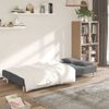 Sofá Cama De 2 Plazas Moderno | Cama Para Adulto Con Dos Almohadas Tela Gris Claro Cfw41879