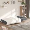 Sofá Cama De 2 Plazas Moderno | Cama Para Adulto Con Dos Almohadas Tela Gris Oscuro Cfw94201