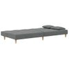 Sofá Cama De 2 Plazas Moderno | Cama Para Adulto Con Dos Almohadas Tela Gris Oscuro Cfw94201