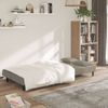 Sofá Cama De 2 Plazas Moderno | Cama Para Adulto Con Dos Almohadas Terciopelo Gris Claro Cfw77642