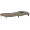 Sofá Cama De 2 Plazas Moderno | Cama Para Adulto Con Dos Almohadas Terciopelo Gris Claro Cfw77642