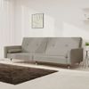 Sofá Cama De 2 Plazas Moderno | Cama Para Adulto Con Dos Almohadas Terciopelo Gris Claro Cfw22707