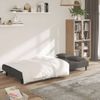 Sofá Cama De 2 Plazas Moderno | Cama Para Adulto Con Dos Almohadas Terciopelo Gris Oscuro Cfw46849