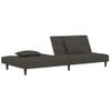 Sofá Cama De 2 Plazas Moderno | Cama Para Adulto Con Dos Almohadas Terciopelo Gris Oscuro Cfw46849