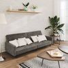 Sofá Cama De 2 Plazas Moderno | Cama Para Adulto Terciopelo Gris Oscuro Cfw27821