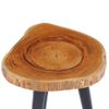 Mesa De Centro，mesa Auxiliar，mesa De Café De Madera De Teca Maciza 40x45 Cm Cfw772671