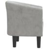 Sillón De Salón | Silla | Sillón De Terciopelo Gris Clarocfw792184