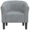 Sillón De Salón | Silla | Sillón De Terciopelo Gris Oscurocfw792193