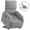 Sillón De Salón | Silla | Sillón Eléctrico Reclinable Elevable De Tela Gris Clarocfw792245