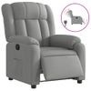 Sillón De Salón | Silla | Sillón Reclinable Eléctrico Tela Gris Clarocfw792715