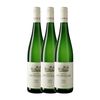 Bründlmayer Vino Blanco Terrassen Kamptal 75 Cl 14.5% Vol. (caja De 3 Unidades)