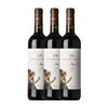 Leonardo Da Vinci Vino Tinto San Zio Toscana 75 Cl 13.5% Vol. (pack De 3 Unidades)