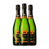 Ferret Guasch Brut Nature Cava Reserva 75 Cl 11.5% Vol. (caja De 3 Unidades)