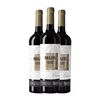 Zuccardi Vino Tinto Brazos De Los Andes Mendoza 75 Cl 14.5% Vol. (pack De 3 Unidades)