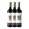 Zuccardi Vino Tinto Brazos De Los Andes Mendoza 75 Cl 14.5% Vol. (pack De 3 Unidades)