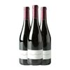 Mas Geli Vino Tinto Empordà Joven 75 Cl 13% Vol. (pack De 3 Unidades)