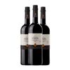 Fernando De Castilla Vino Generoso Classic Oloroso 75 Cl 17% Vol. (caja De 3 Unidades)