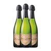 Juvé Y Camps Reserva De La Familia Cava Reserva 75 Cl 12% Vol. (caja De 3 Unidades)