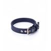 Collar Vegano Para Perros Cher Azul Pamppy 65 Cm