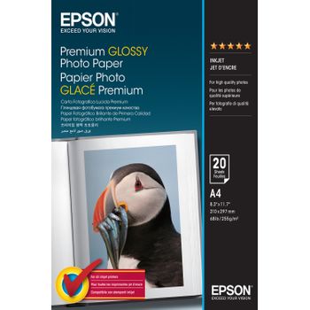 Epson Premium, Din A4, 255g/m² Carta Fotografica Bianco Lucida Premium