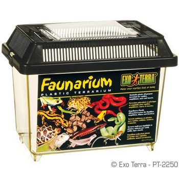 Terrario Exo Terra Faunarium - Mini