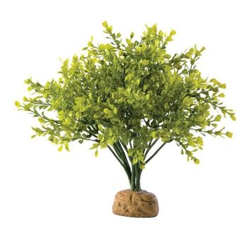 Exo-terra Boxwood Bush - Para Reptiles O Anfibios