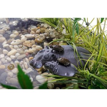 Isla De Tortuga Hipopótamo Exo-terra - Para Reptiles O Anfibios