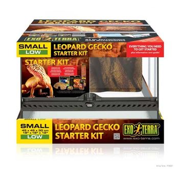 Terrario Exo Terra Gecko Starter Kit
