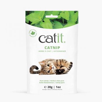 Catnip Seco Catit 28 G